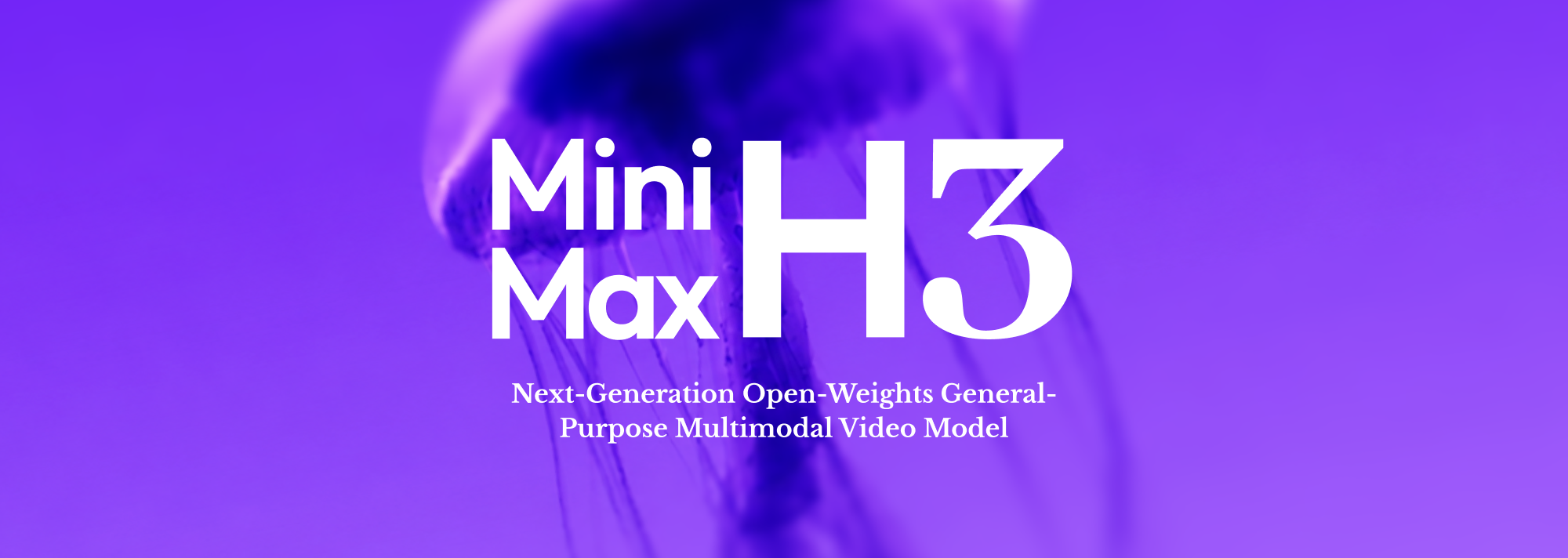 minimax-h3.png