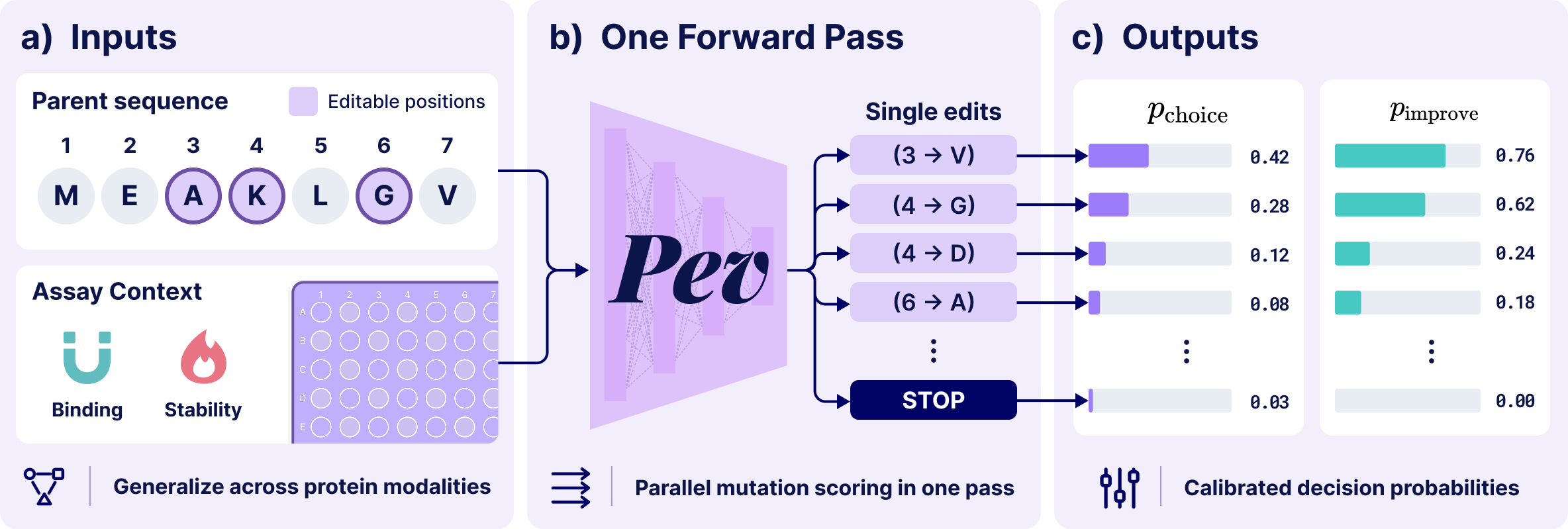Pev overview: protein and target context in, one forward pass scoring every single edit in parallel, calibrated choice and improvement probabilities out