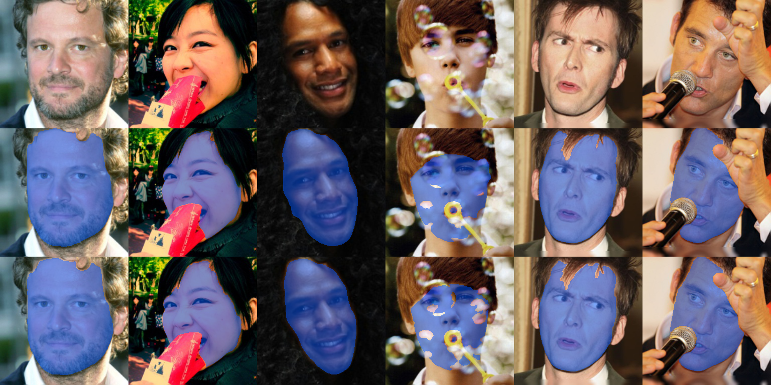 FaceOcc result